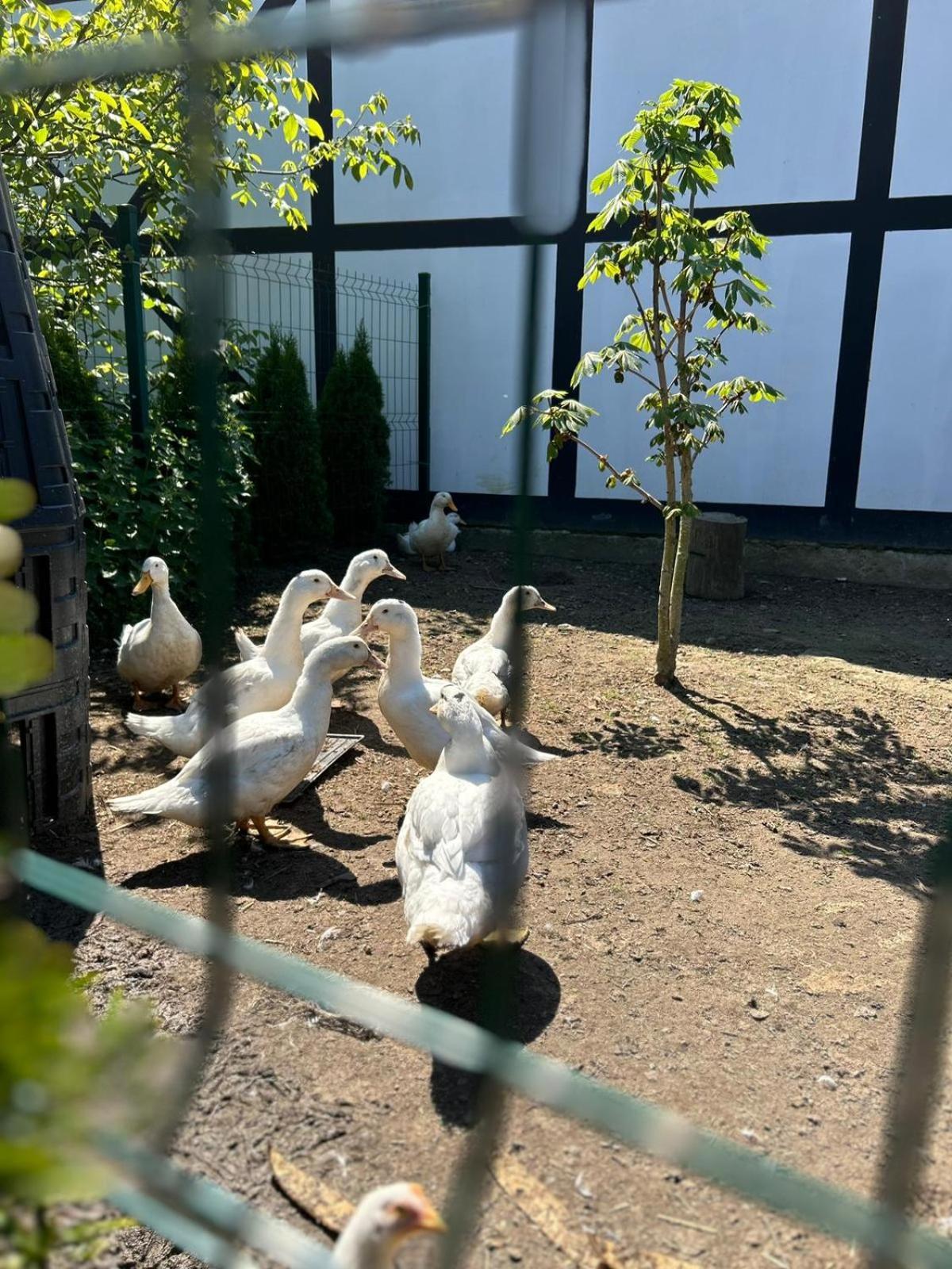 Letniskowe Nad Morzem Ferienhaus *